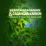 Keanekaragaman dan Cadangan Karbon Fabaceae di Hutan Kota Banda Aceh